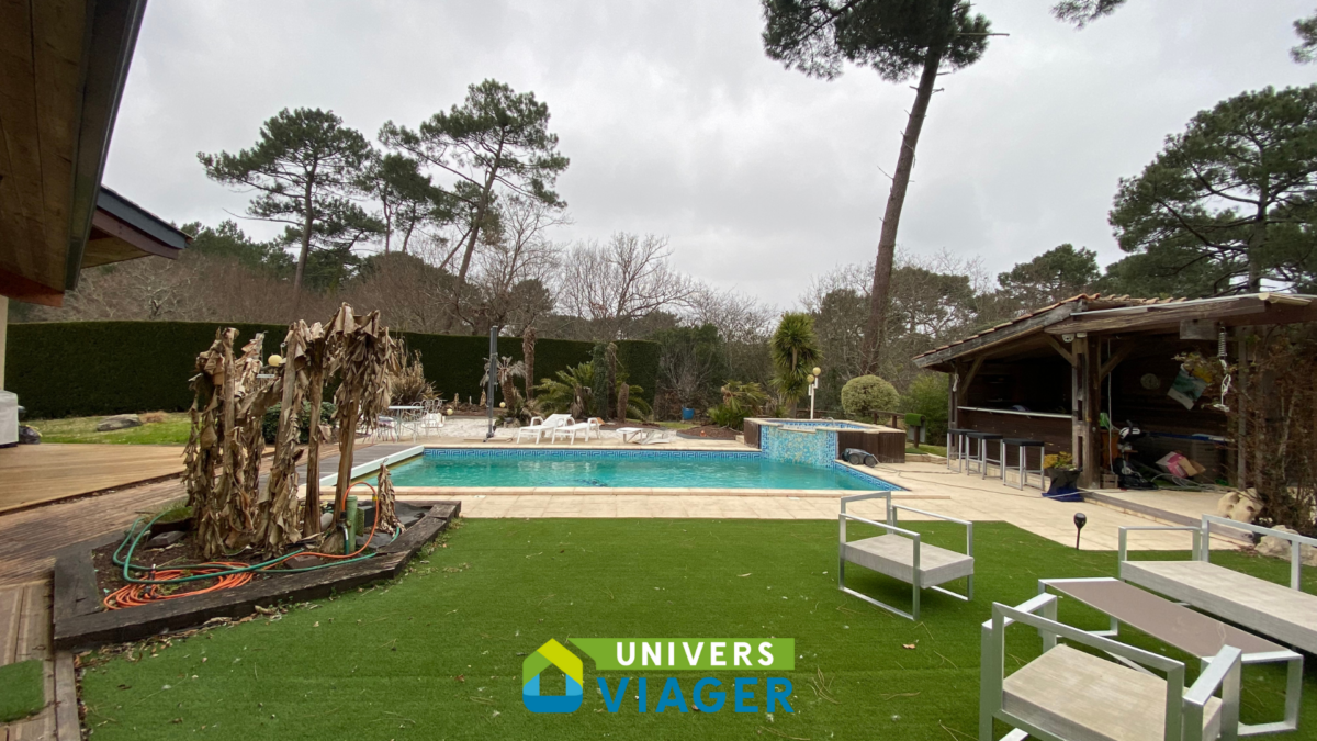 jardin avec piscine à biscarosse