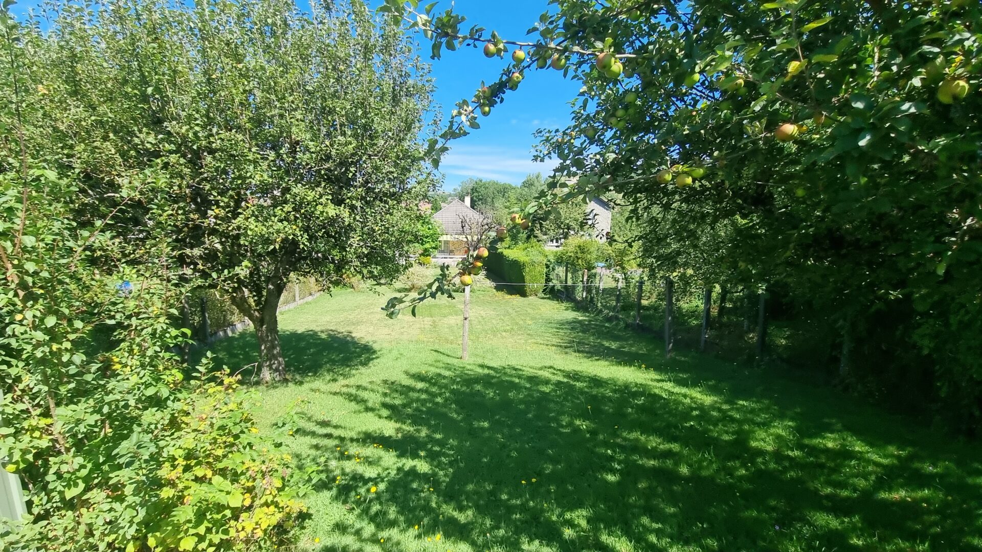 terrain maison viager occupé arapajon sur cere