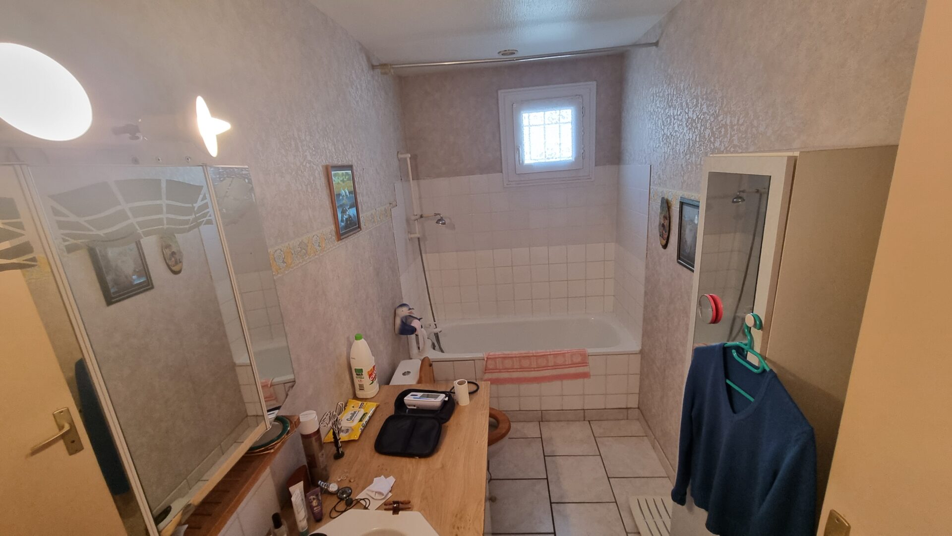 salle de bains avec WC maison viager occupé cournon d auvergne